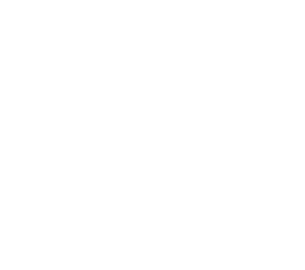 Clube do Téo — hotel e creche para cães em Guarulhos